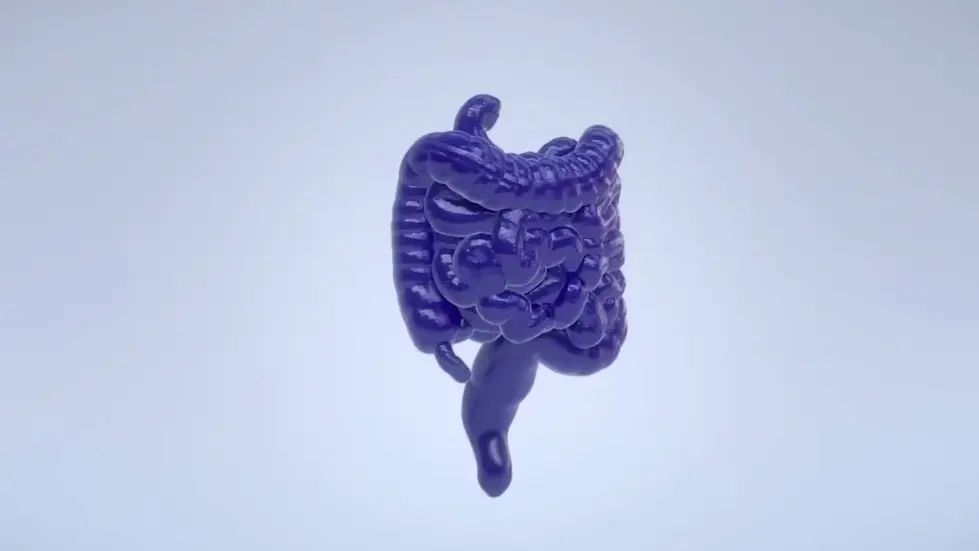 Doctor Tim Spector: The Shocking New Truth About Weight Loss, Calories & Diets | E209 001