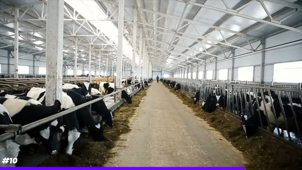 Alex Hormozi: 42 Recession Proof Money Hacks (2023) 004