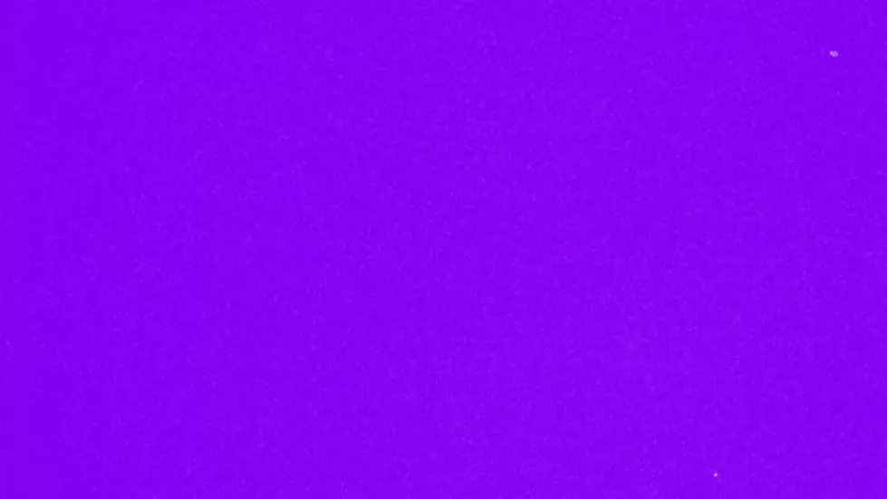 Alex Hormozi: From Losing Everything To Building A $100M Company 001