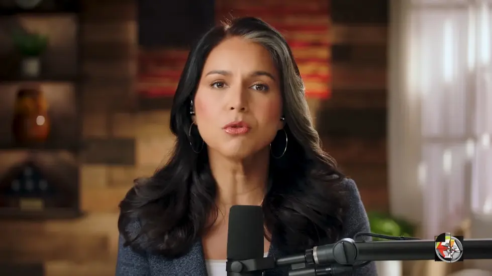 Female Soldiers and Crony Capitalists | Tulsi Gabbard | EP 332 004