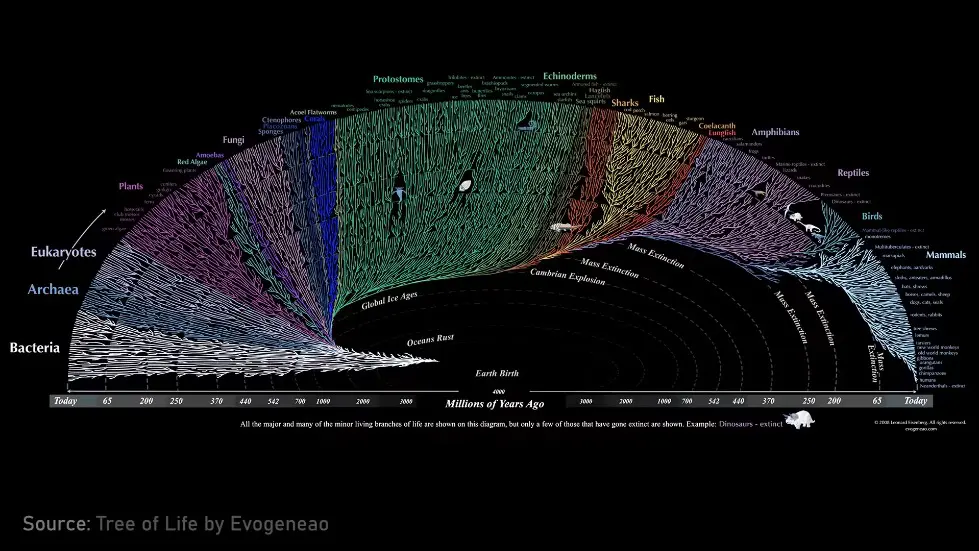 Lee Cronin: Controversial Nature Paper on Evolution of Life and Universe | Lex Fridman Podcast #404 054