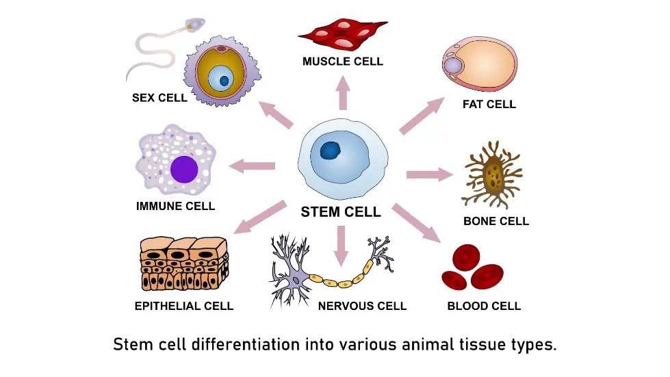 Lee Cronin: Controversial Nature Paper on Evolution of Life and Universe | Lex Fridman Podcast #404 070